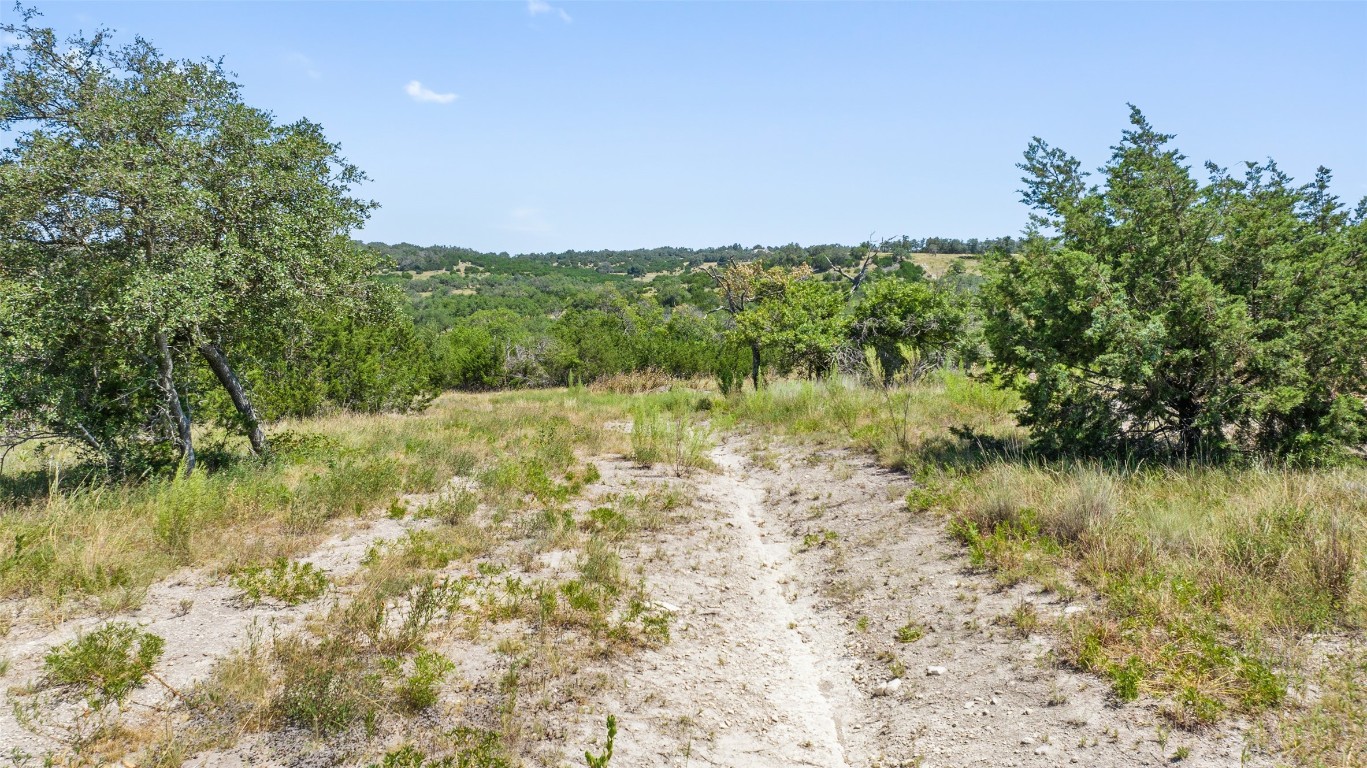 21 Ranch Road 1623 Blanco, TX 78606 - Photo 6 of 7