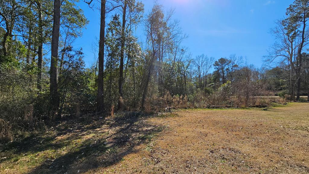 1964 County Line Road Dothan, AL 36305 - Photo 68 of 92