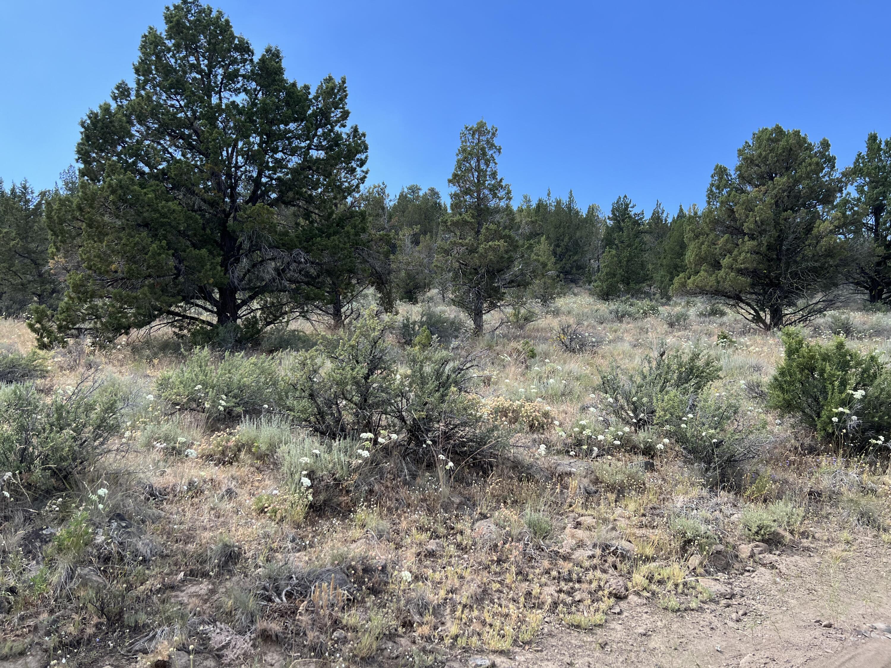 Tableland Road, Unit 700 Chiloquin, OR 97624 - Photo 5 of 12