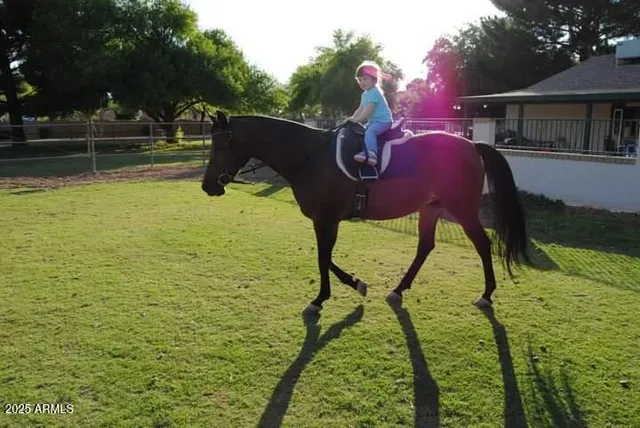 a front view of a house with parking space
