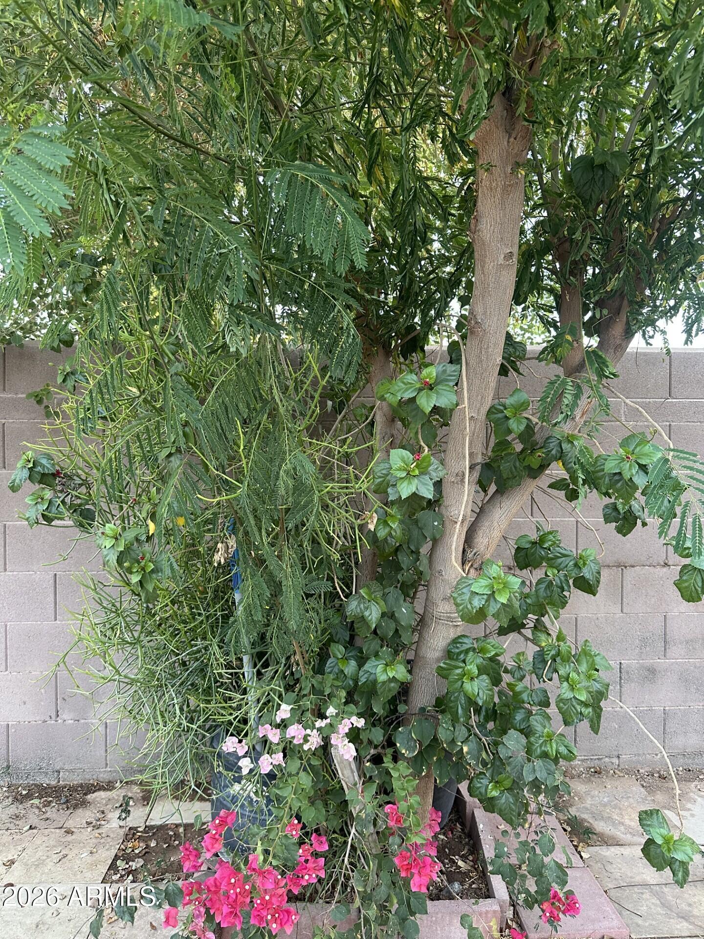 3429 West Fraktur Road Phoenix, AZ 85041 - Photo 26 of 27