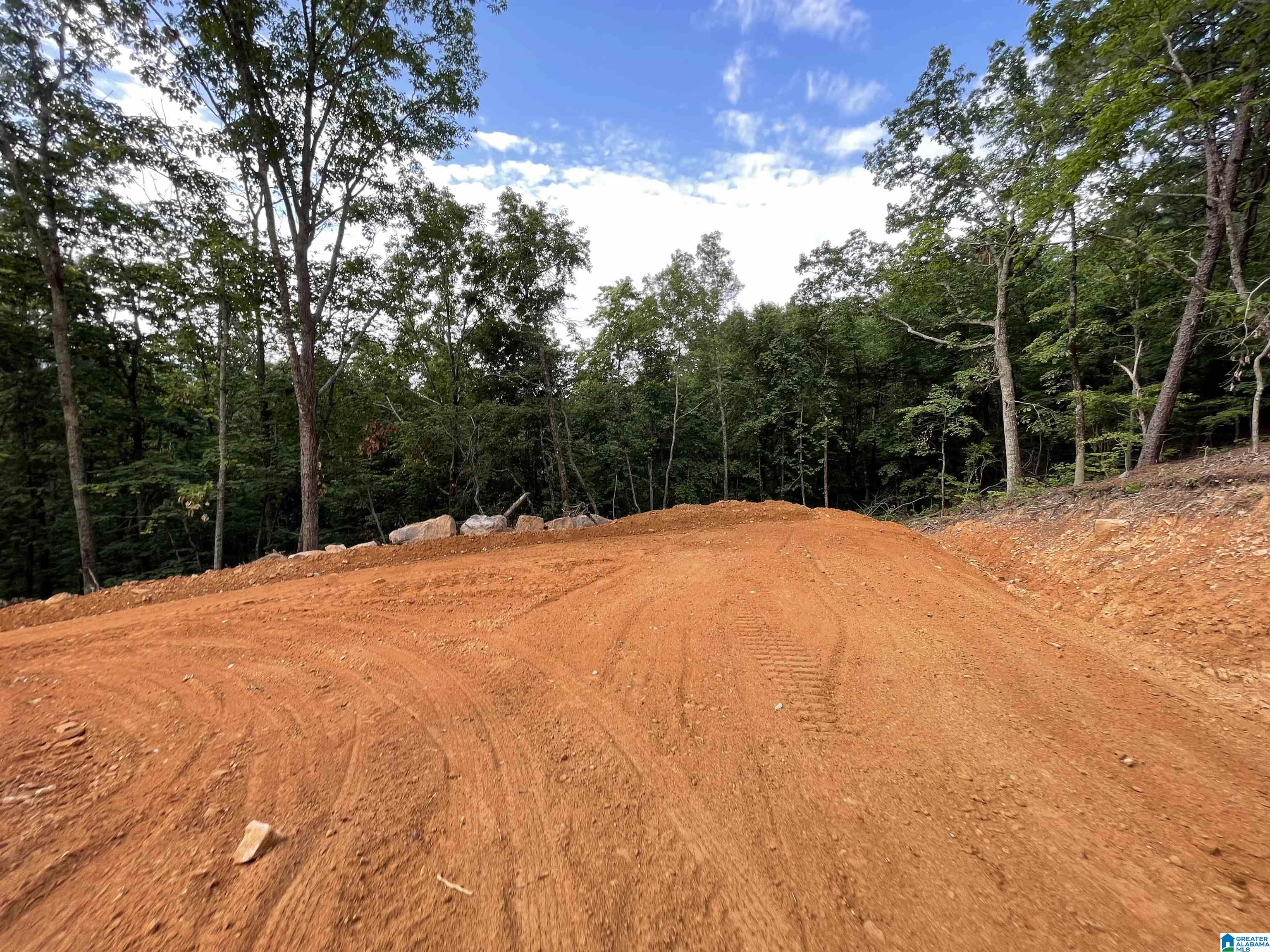 0 Scenic Road Jacksonville, AL 36265 - Photo 39 of 42