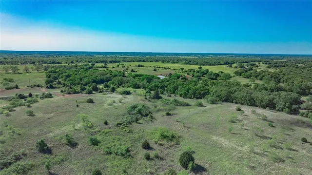 a view of a field with lots of trees