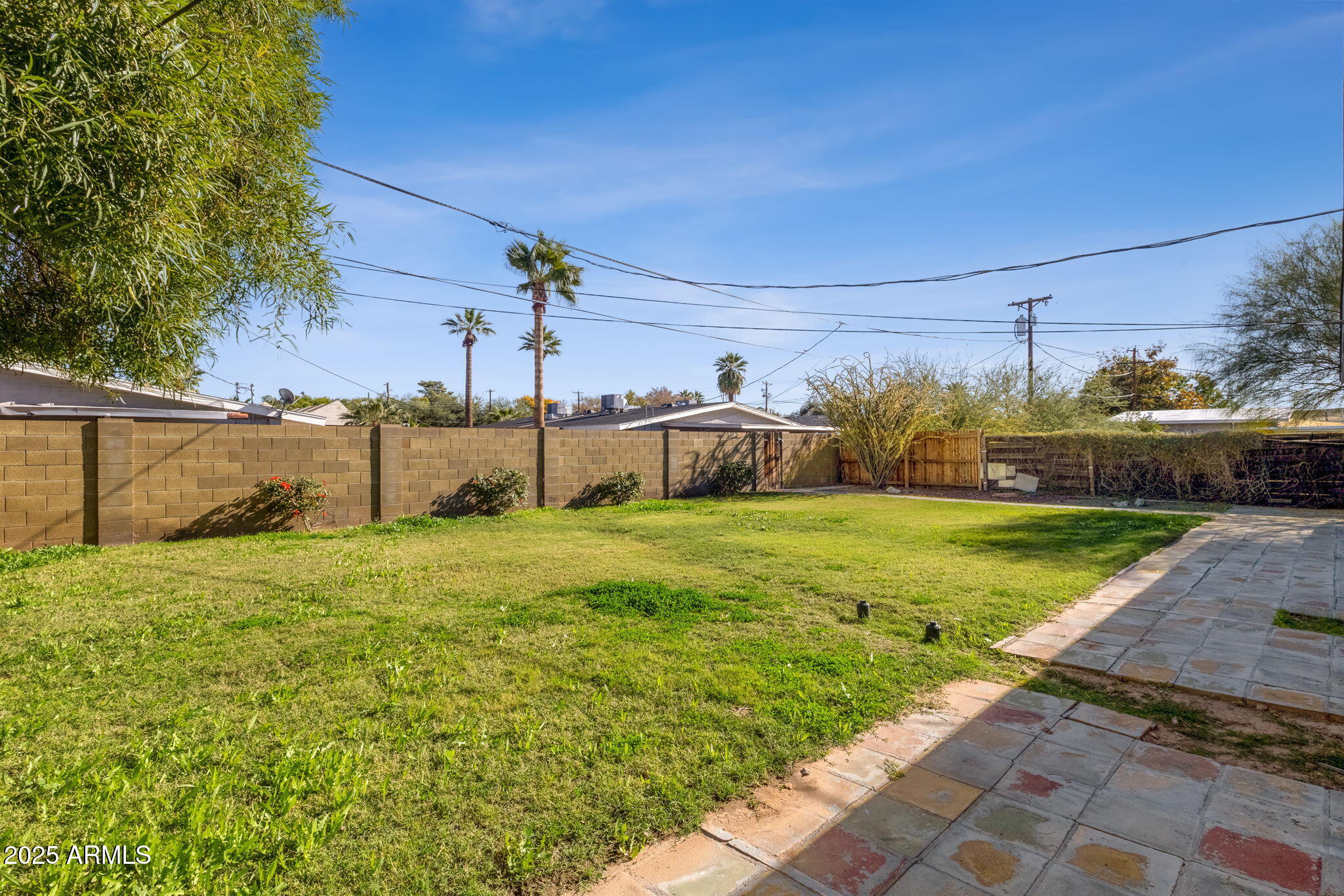2139 South La Rosa Drive Tempe, AZ 85282 - Photo 28 of 29 a view of a back yard