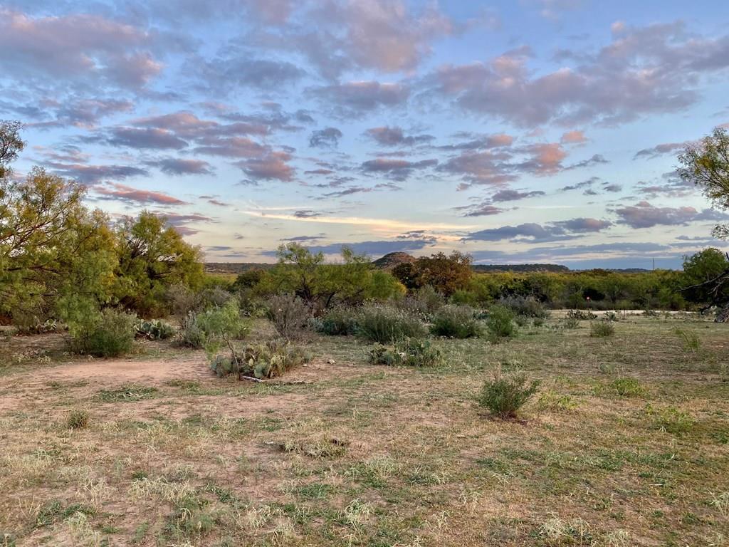 a view of a field with trees in the background