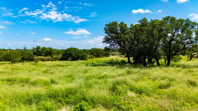 a view of an outdoor space and a yard