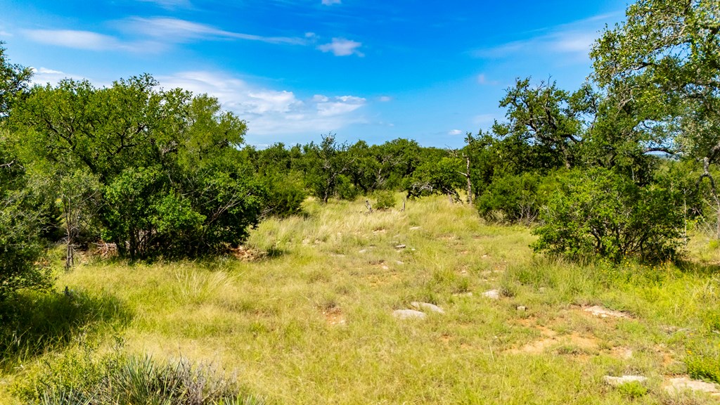Lot 4 Jack Rabbit Road, Unit 4 Doss, TX 78618 - Photo 14 of 18 a view of a yard with a tree