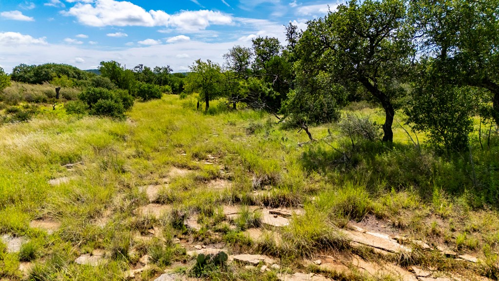 Lot 4 Jack Rabbit Road, Unit 4 Doss, TX 78618 - Photo 17 of 18 a view of a yard with a tree