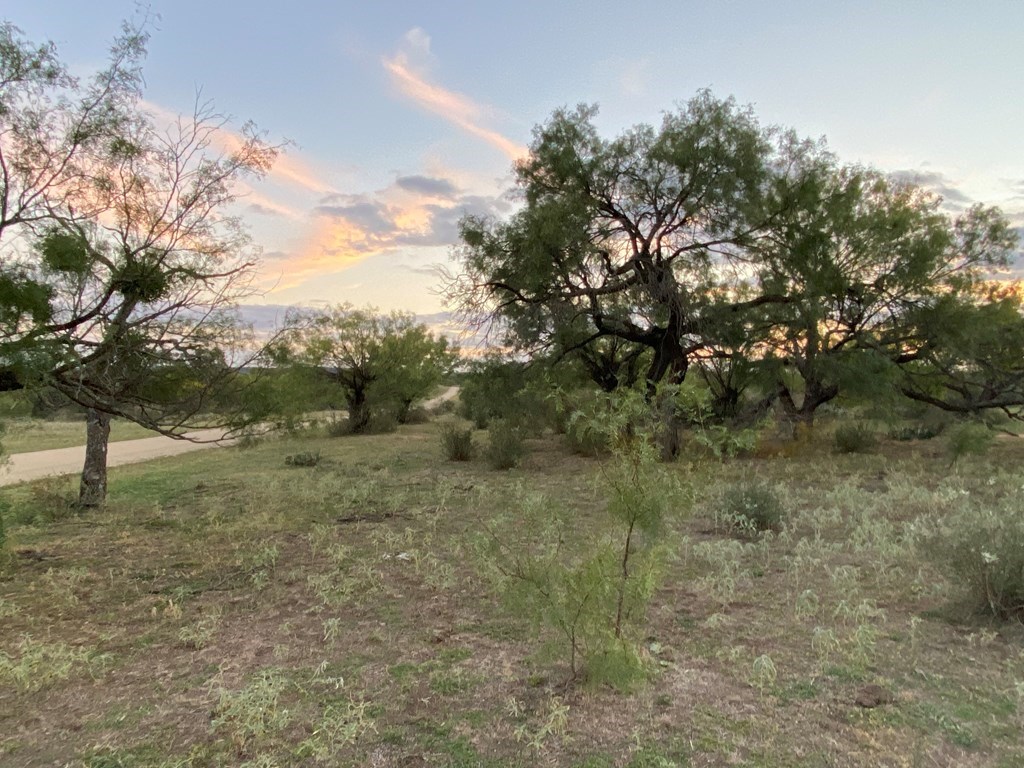 Lot 4 Jack Rabbit Road, Unit 4 Doss, TX 78618 - Photo 2 of 18 a view of a yard with a tree
