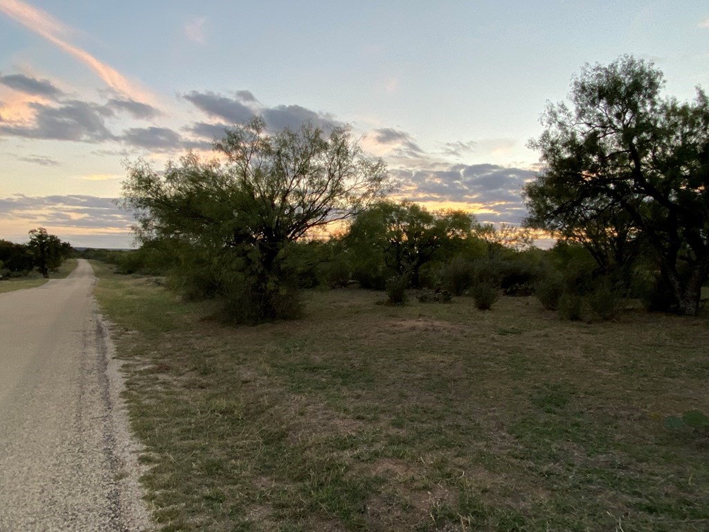 Lot 4 Jack Rabbit Road, Unit 4 Doss, TX 78618 - Photo 3 of 18 a view of a yard