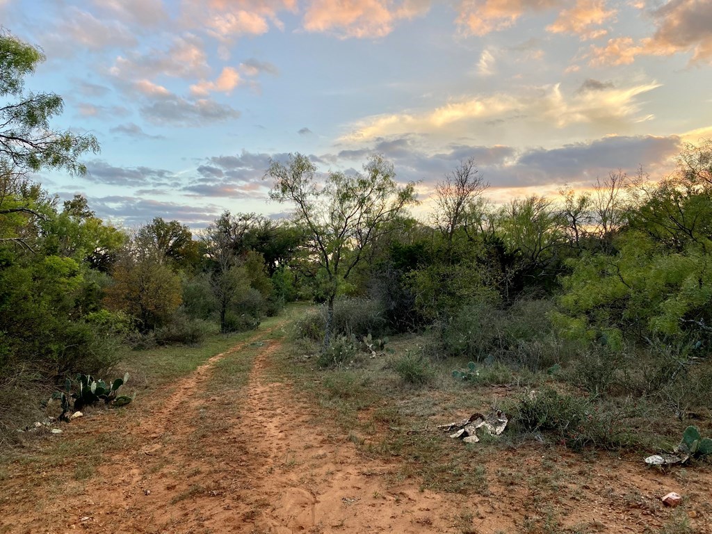 Lot 4 Jack Rabbit Road, Unit 4 Doss, TX 78618 - Photo 6 of 18 a view of a yard with an outdoor space