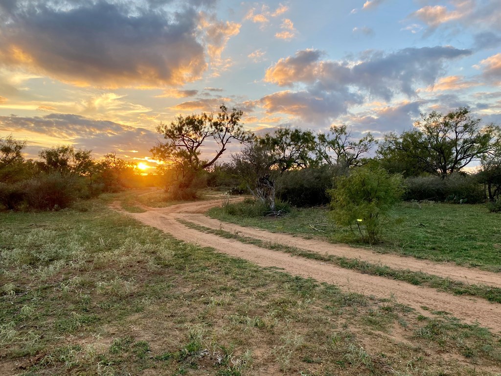 Lot 4 Jack Rabbit Road, Unit 4 Doss, TX 78618 - Photo 7 of 18 a view of a yard with plants and large trees