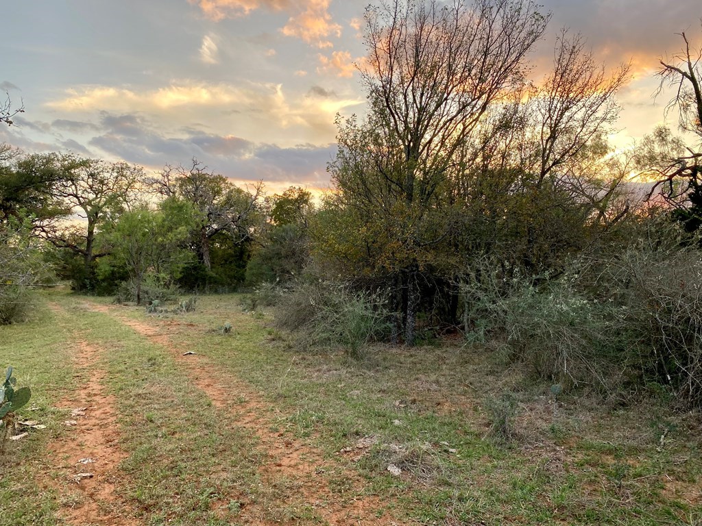 Lot 4 Jack Rabbit Road, Unit 4 Doss, TX 78618 - Photo 8 of 18 a view of a yard with a tree