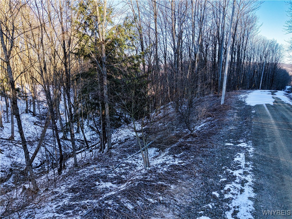 26-27 Creek Ridge Road Ellicottville, NY 14731 - Photo 2 of 12