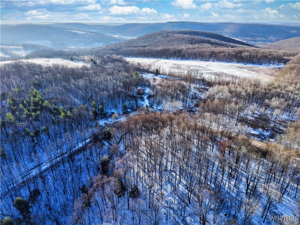 26-27 Creek Ridge Road Ellicottville, NY 14731 - Photo 3 of 12