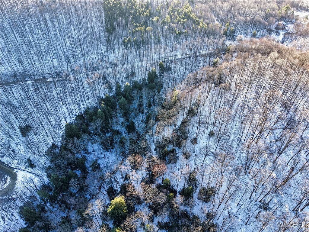 26-27 Creek Ridge Road Ellicottville, NY 14731 - Photo 4 of 12