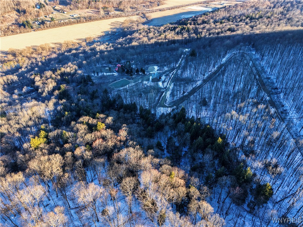 26-27 Creek Ridge Road Ellicottville, NY 14731 - Photo 5 of 12