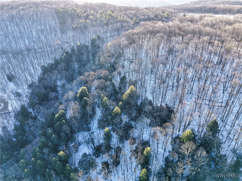 26-27 Creek Ridge Road Ellicottville, NY 14731 - Photo 7 of 12