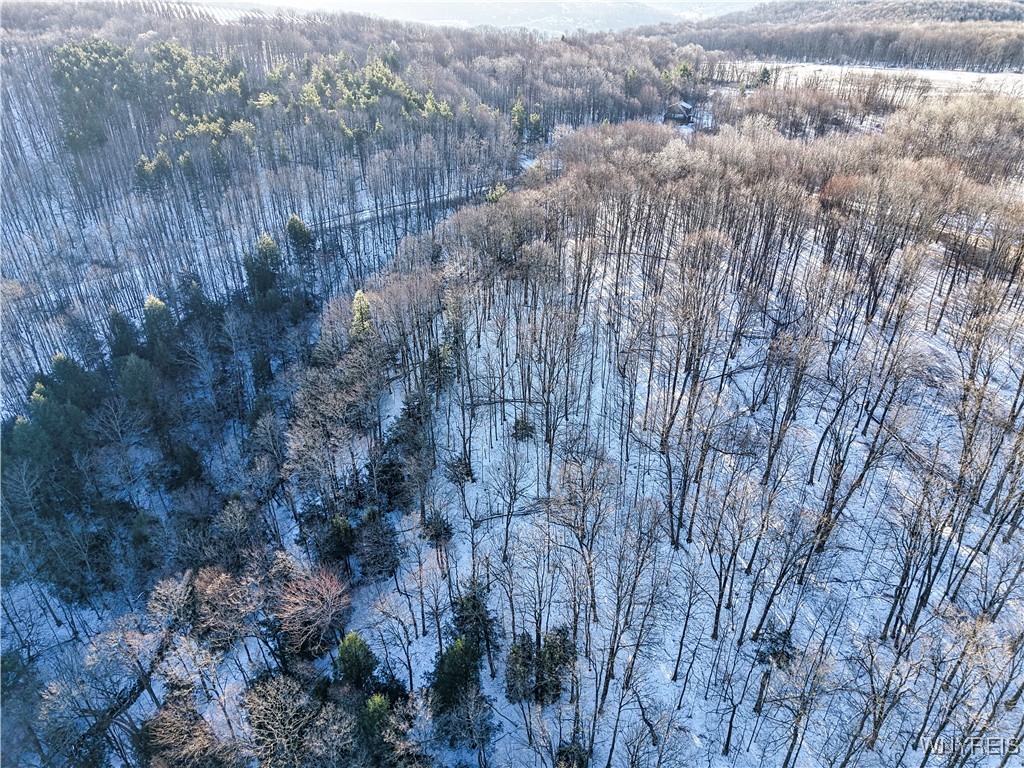 26-27 Creek Ridge Road Ellicottville, NY 14731 - Photo 8 of 12