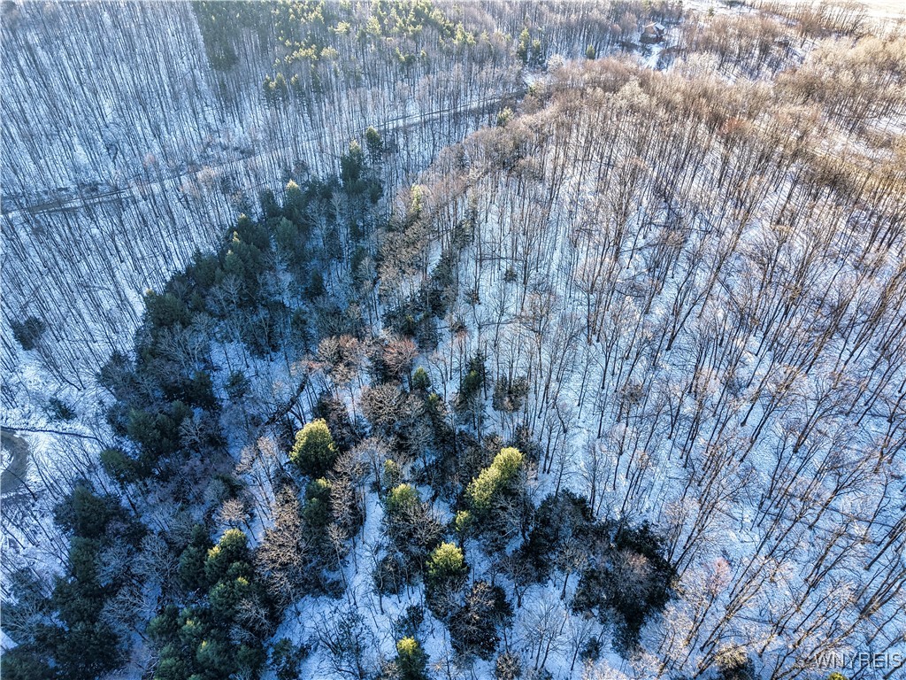 26-27 Creek Ridge Road Ellicottville, NY 14731 - Photo 10 of 12
