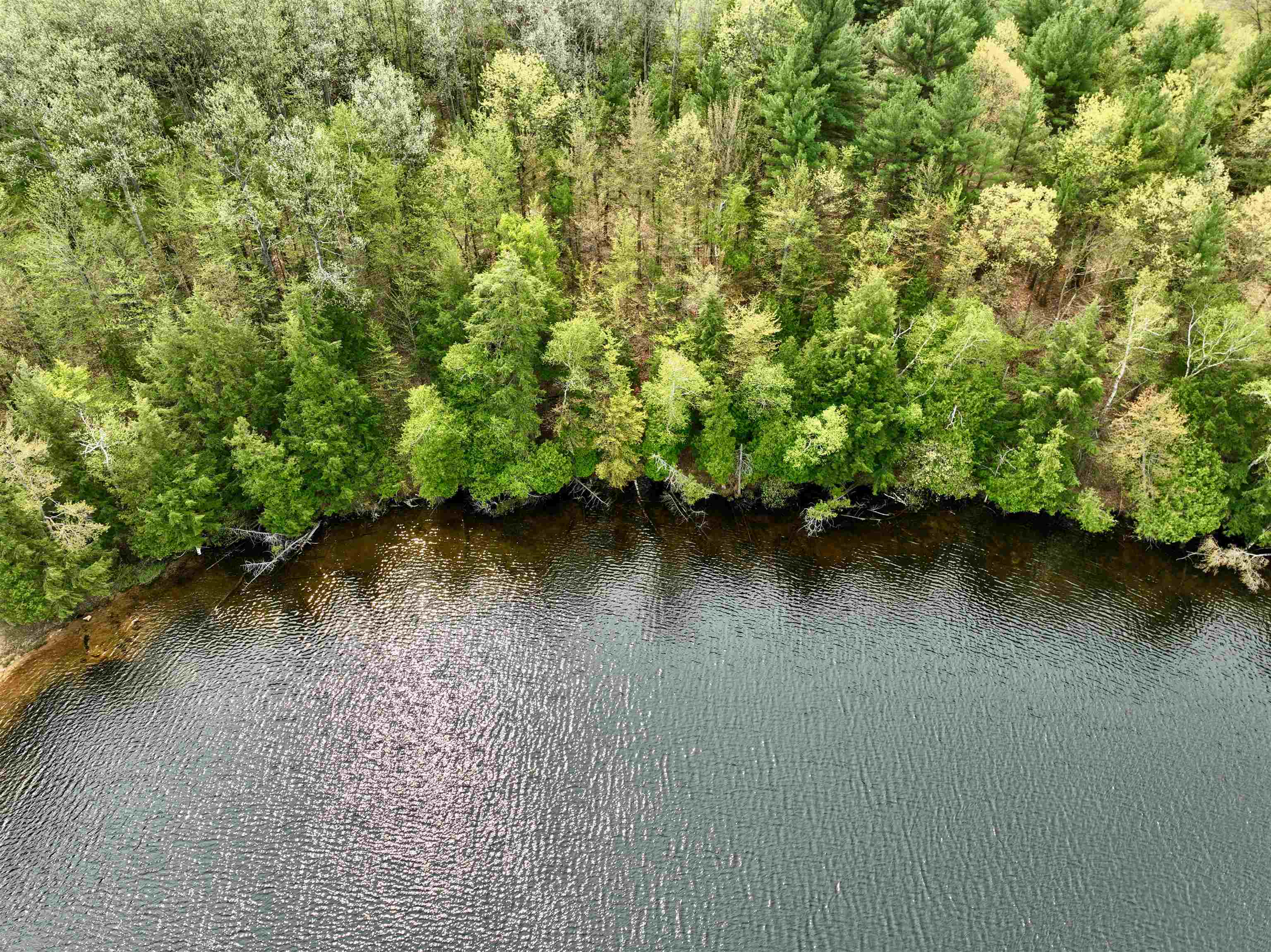 Lot A Ingersoll Road Southwest Fife Lake, MI 49633 - Photo 3 of 5