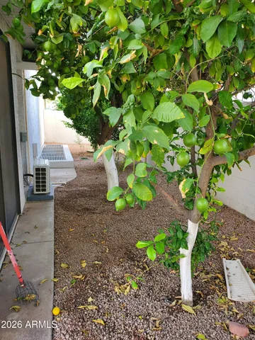 $618,000 | 1146 East Jensen Street, Mesa, AZ 85203