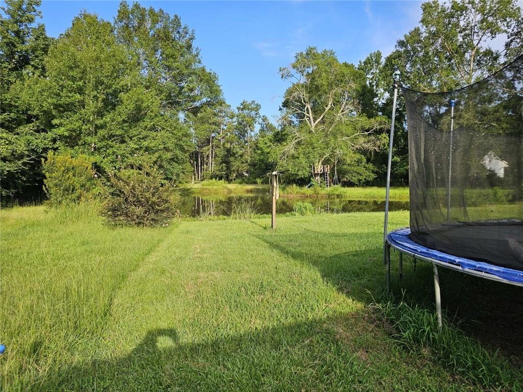 19690 Perrilloux Road Livingston, LA 70754 - Photo 6 of 20 Gallery Image 6