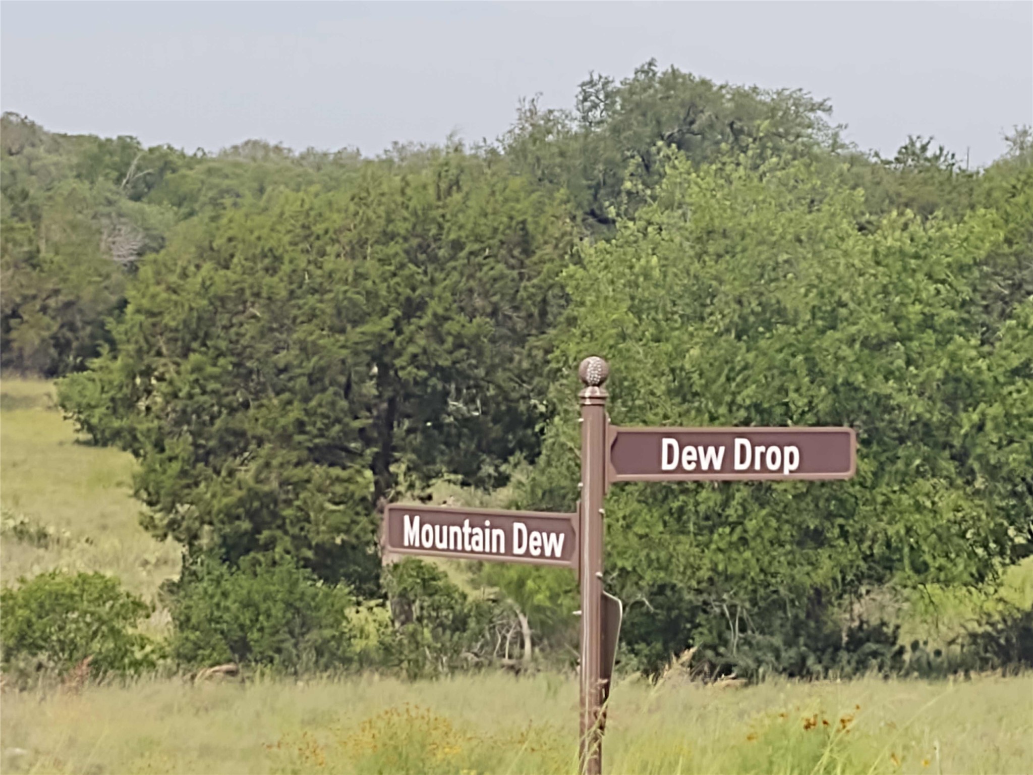 0 Mountain Dew Road Horseshoe Bay, TX 78657 - Photo 2 of 18 Exterior view of a forest view