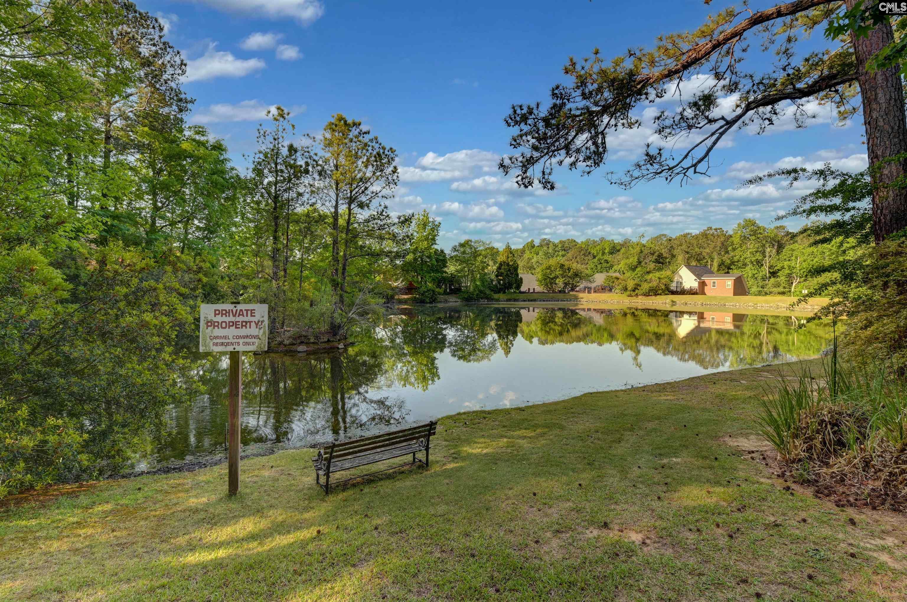 121 Wandering Brook Road Irmo, SC 29063 - Photo 10 of 47