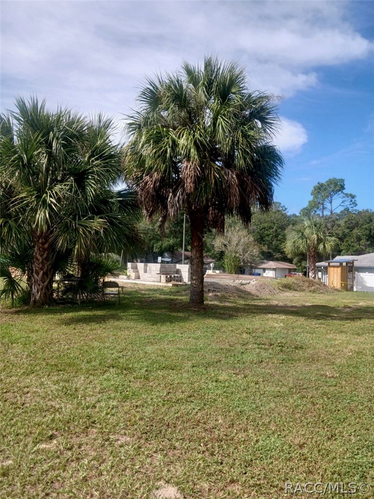 6167 East Dell Lane Inverness, FL 34452 - Photo 5 of 13