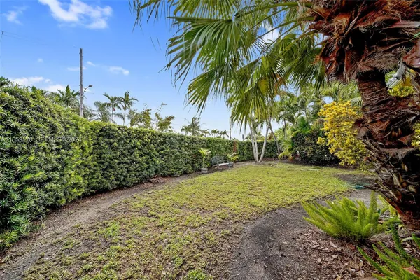 a view of a yard with a tree