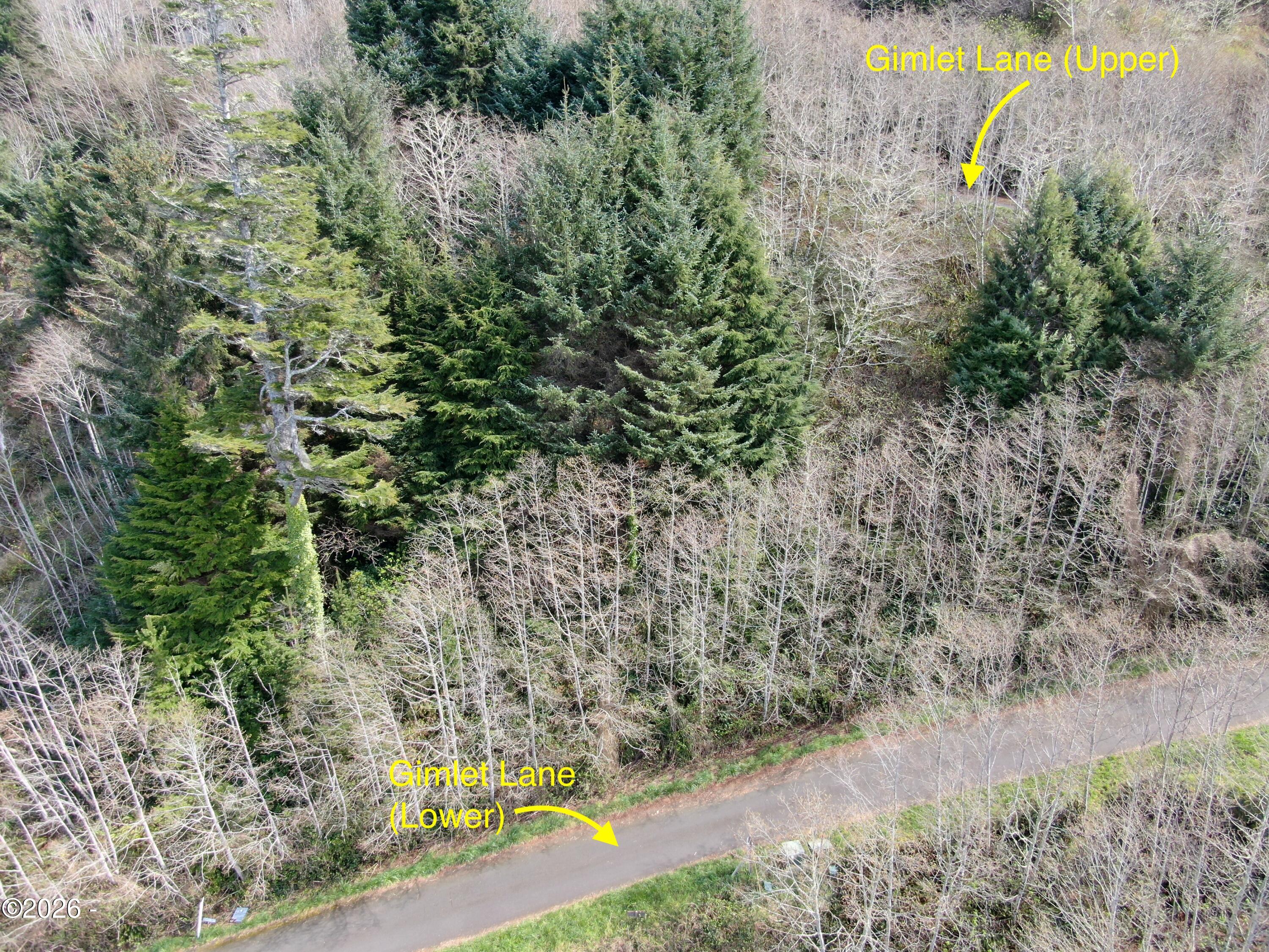 17 Gimlet Lane Yachats, OR 97498 - Photo 17 of 17 DJI_0306x