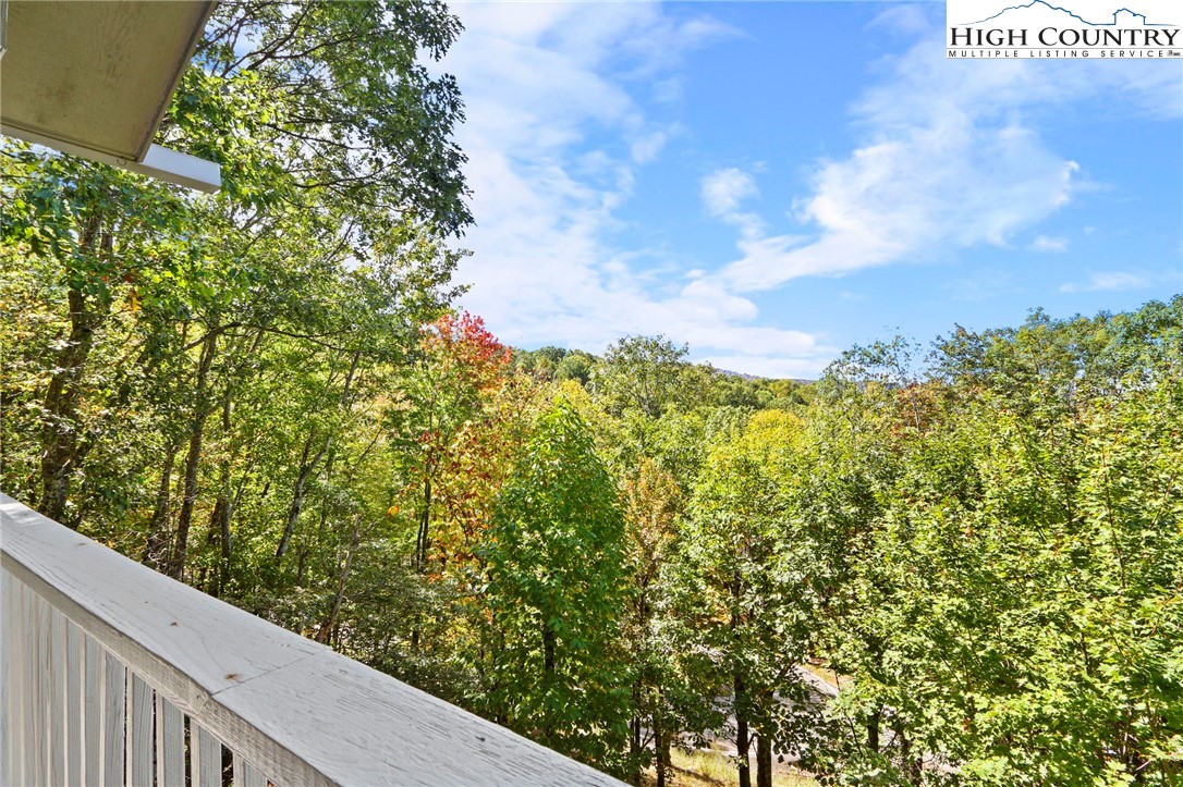 504 St Andrews Road Beech Mountain, NC 28604 - Photo 24 of 43