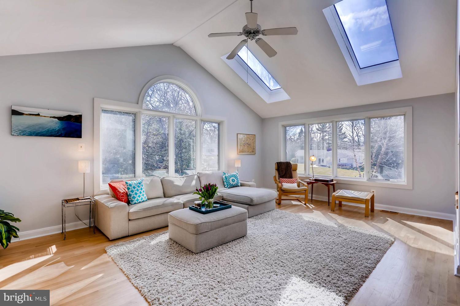 407 Terrace Way Baltimore, MD 21204 - Photo 1 of 28 Living Room, vaulted ceilings, skylights