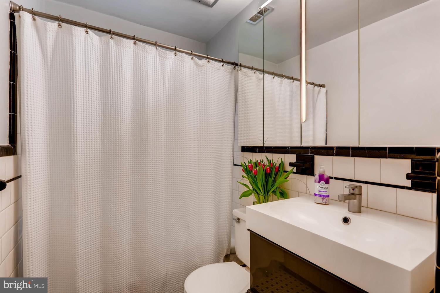 407 Terrace Way Baltimore, MD 21204 - Photo 20 of 28 Hall bath