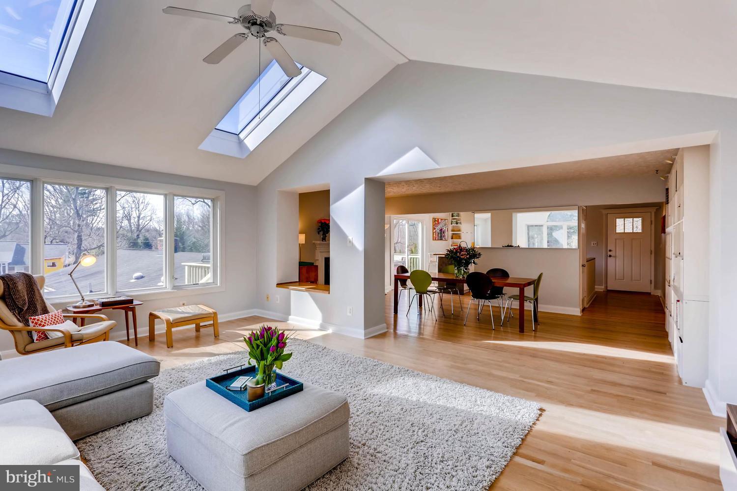 407 Terrace Way Baltimore, MD 21204 - Photo 5 of 28 Living Room, vaulted ceilings, skylights