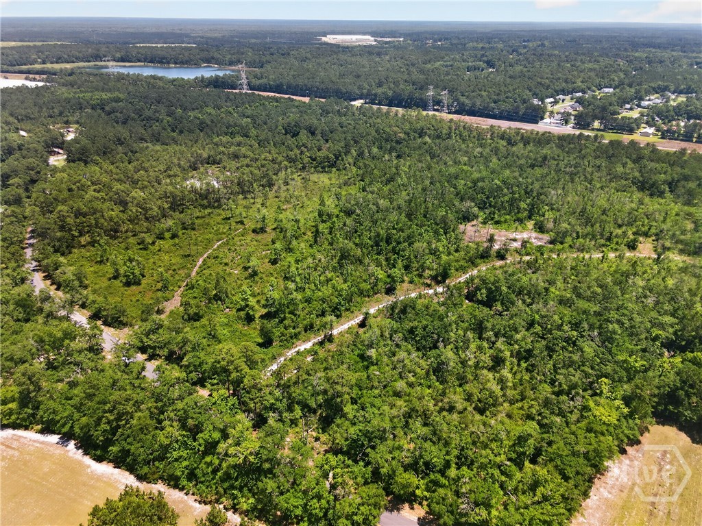 241 Barney Road Rincon, GA 31326 - Photo 3 of 7
