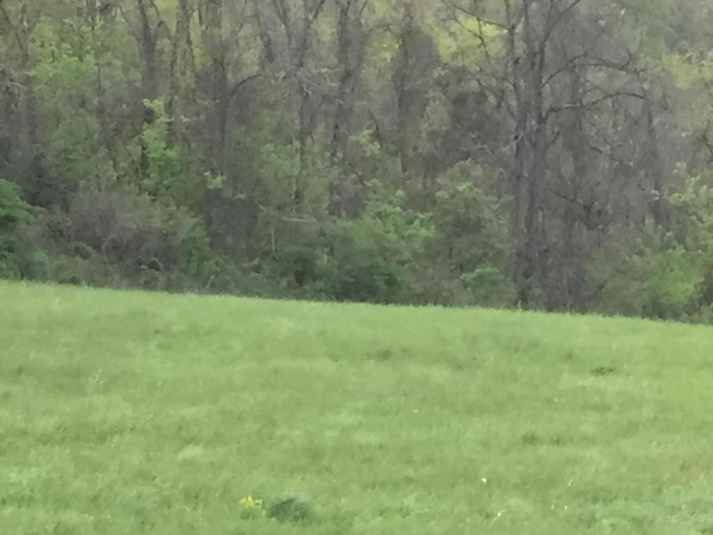 78 Vance Tank Road Bristol, TN 37620 - Photo 3 of 12 Photo 3