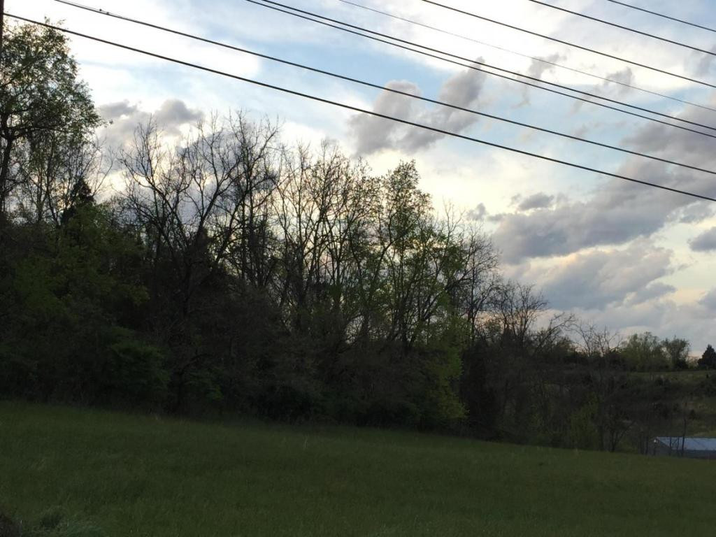 78 Vance Tank Road Bristol, TN 37620 - Photo 6 of 12 Photo 6