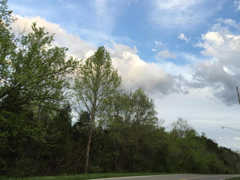 78 Vance Tank Road Bristol, TN 37620 - Photo 7 of 12 Photo 7