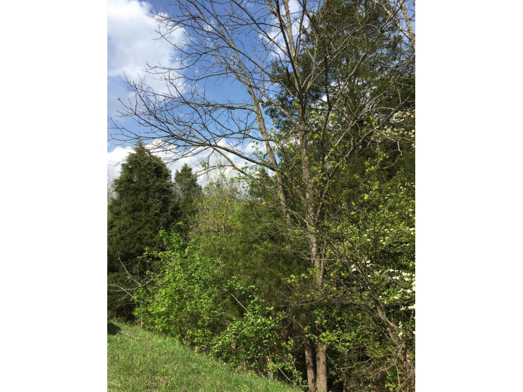 78 Vance Tank Road Bristol, TN 37620 - Photo 8 of 12 Photo 8