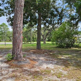 7127 West Grover Cleveland Boulevard, Unit 48 Homosassa, FL 34446 - Photo 8 of 18 a view of a tree in the middle of a yard