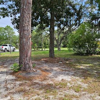 7127 West Grover Cleveland Boulevard, Unit 48 Homosassa, FL 34446 - Photo 9 of 18 a view of a trees in a park
