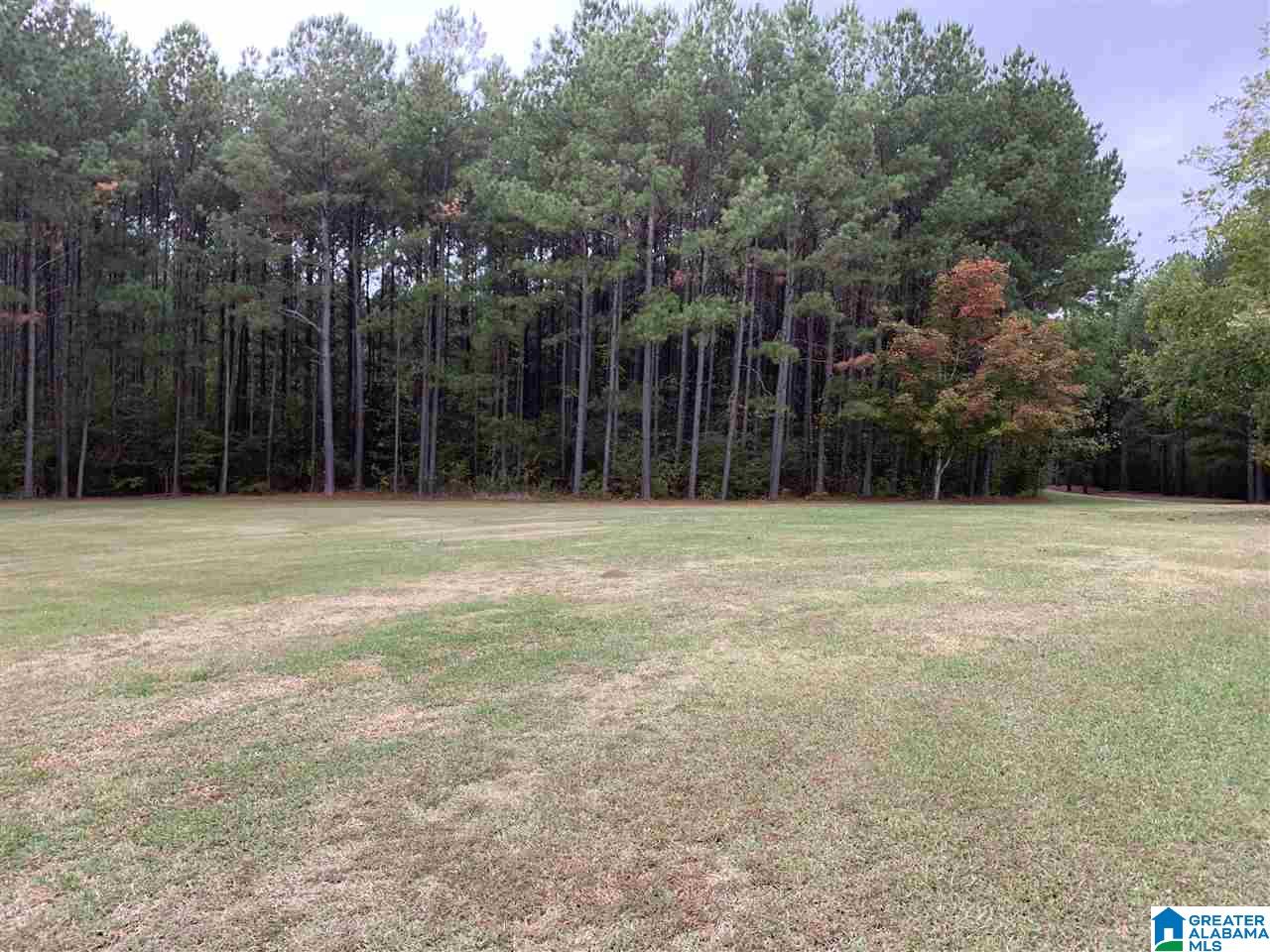 396 Holland-Finley Road Jacksonville, AL 36265 - Photo 6 of 37