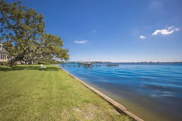 a view of a park with a tree