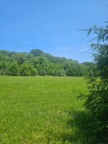 a view of a lush green outdoor space with a lake view