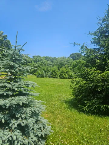 a view of a garden with a lake