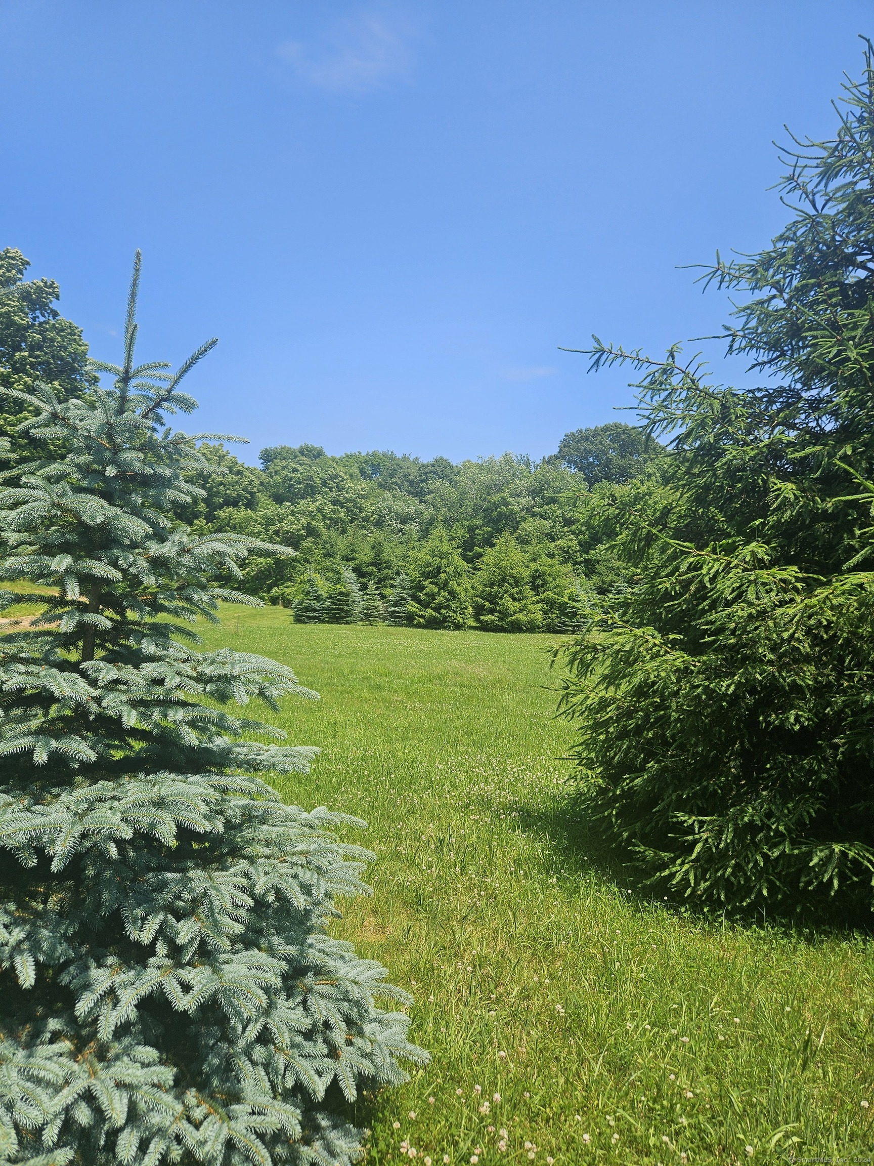 508 Al Harvey Road Stonington, CT 06378 - Photo 4 of 7