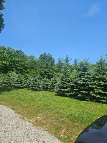 a view of a field with an ocean