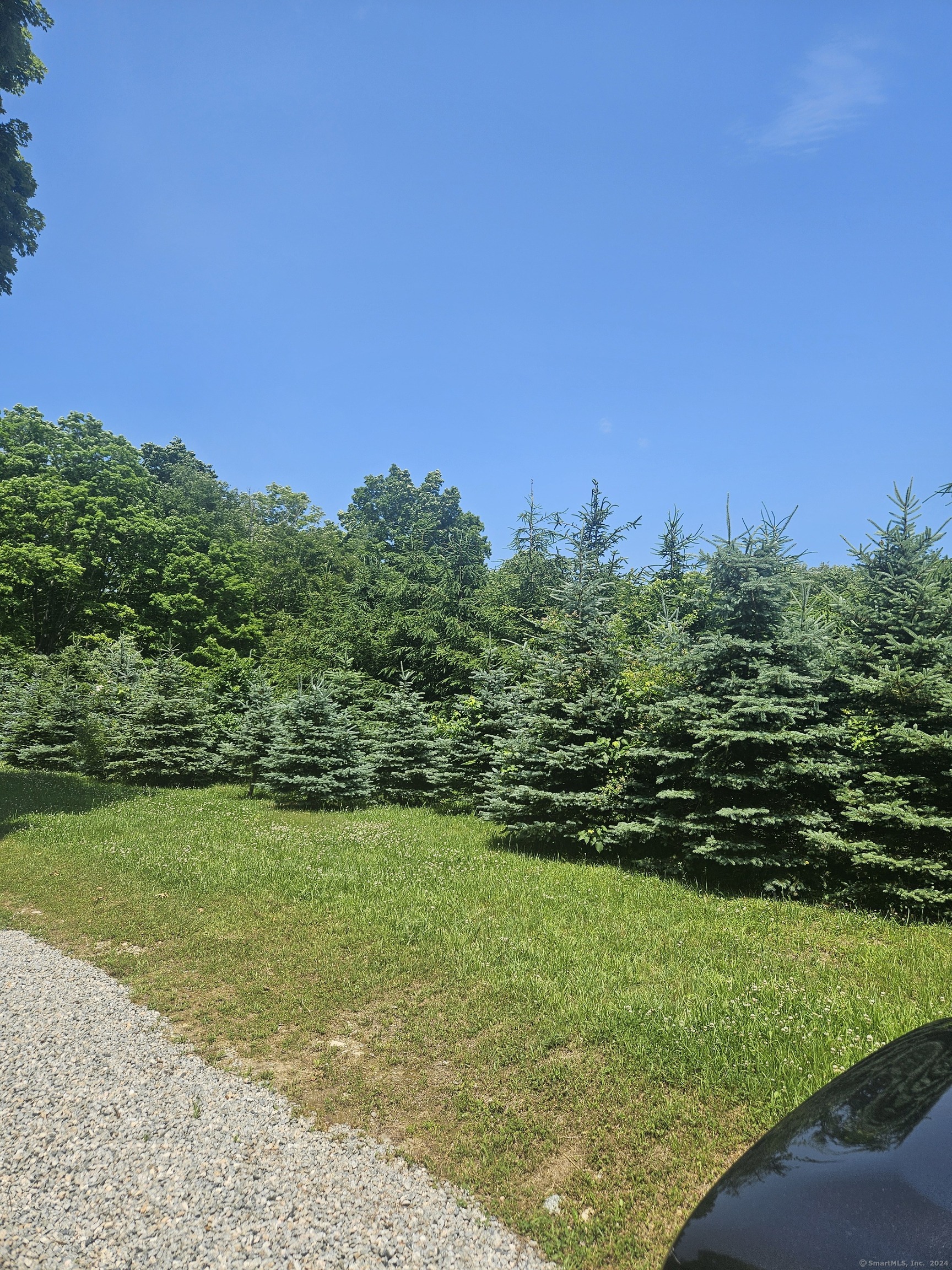 508 Al Harvey Road Stonington, CT 06378 - Photo 5 of 7